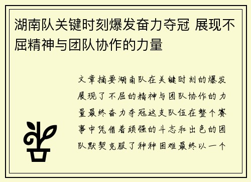 湖南队关键时刻爆发奋力夺冠 展现不屈精神与团队协作的力量