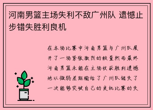 河南男篮主场失利不敌广州队 遗憾止步错失胜利良机