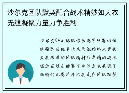 沙尔克团队默契配合战术精妙如天衣无缝凝聚力量力争胜利