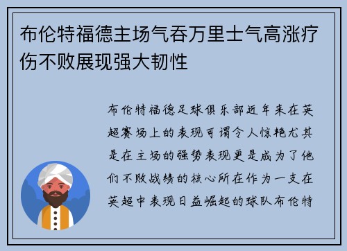 布伦特福德主场气吞万里士气高涨疗伤不败展现强大韧性