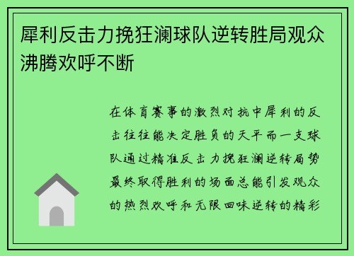 犀利反击力挽狂澜球队逆转胜局观众沸腾欢呼不断